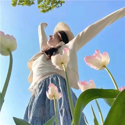 无声的证言第二十八季